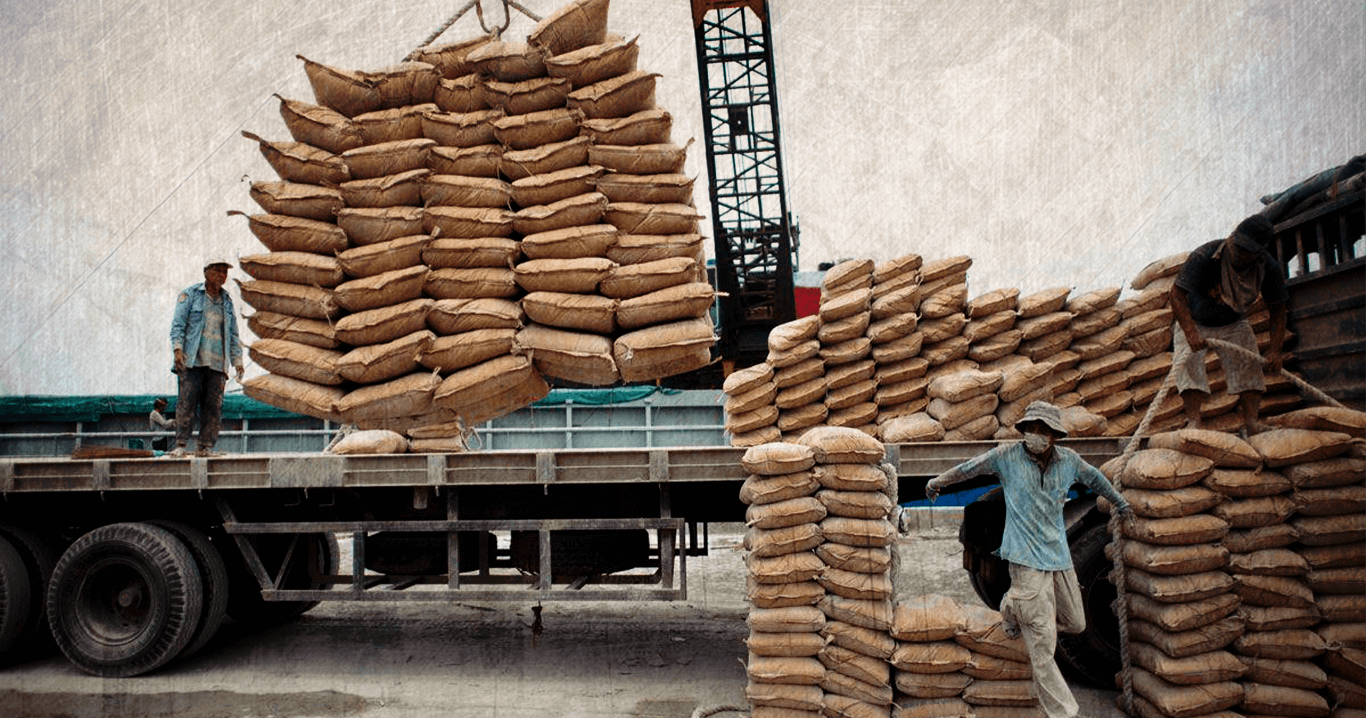 Egypt: cement prices on February 25 | Amwal Al Ghad