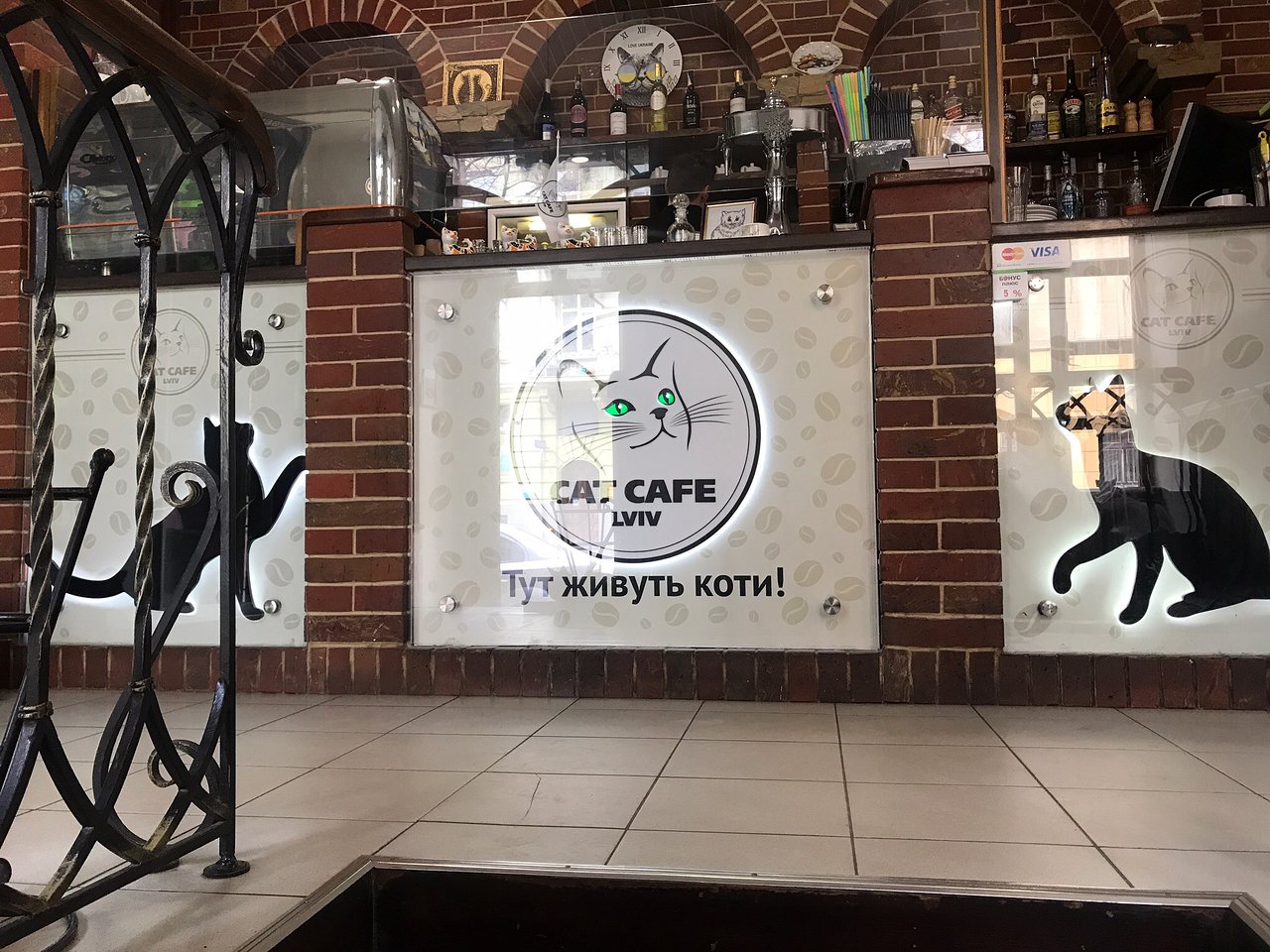 Lviv’s Cat Café