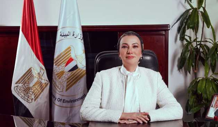 Egypt Minister Yasmine Fouad