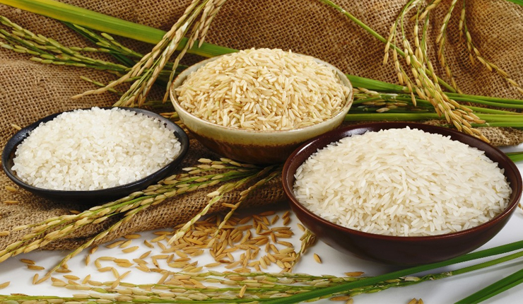 Egypt's rice