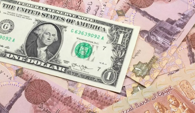 EGP falls against U.S. dollar