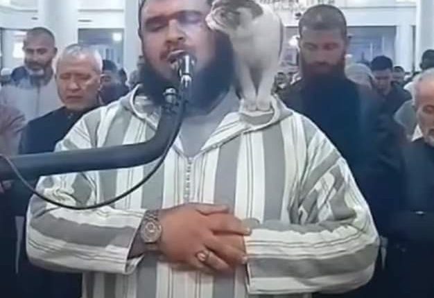 Sheikh Walid Mehsas with the cat on his shoulder