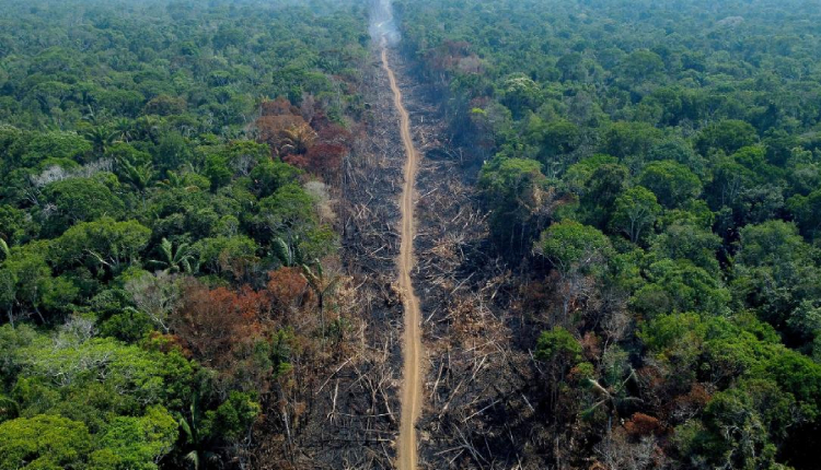 A deforested and burnt area is seen on a stretch of the BR-230 in Humaitá, Amazonas State, Brazil, on September 16, 2022.