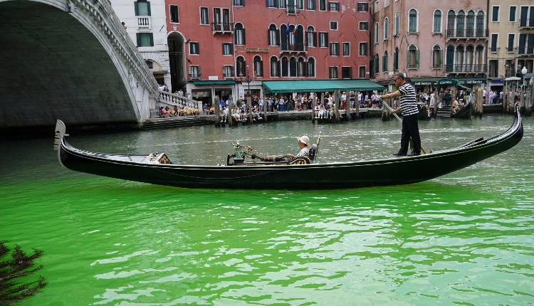 Venice canal turns fluorecnet green