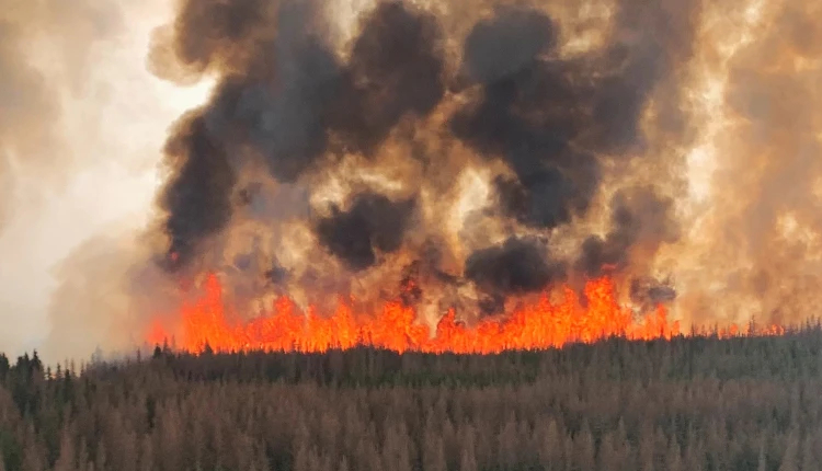 A wildfire burns near Evansburg, Canada