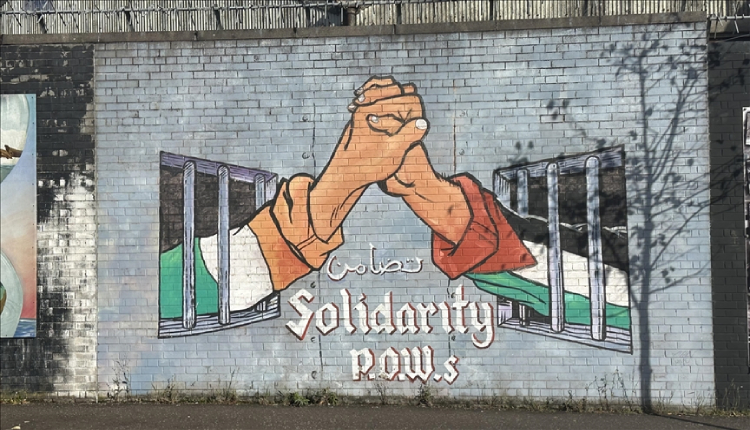 Palestine-Ireland