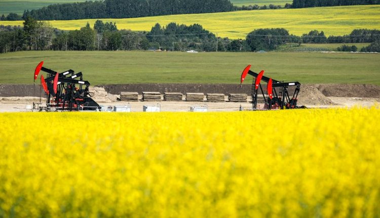 Canadian fields