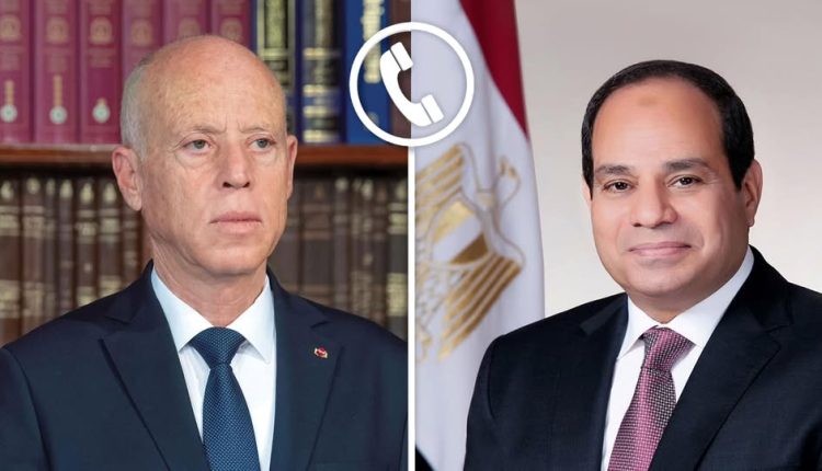 Egypt Tunisia Gaza reconstruction