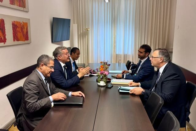 Egypt TotalEnergies meeting