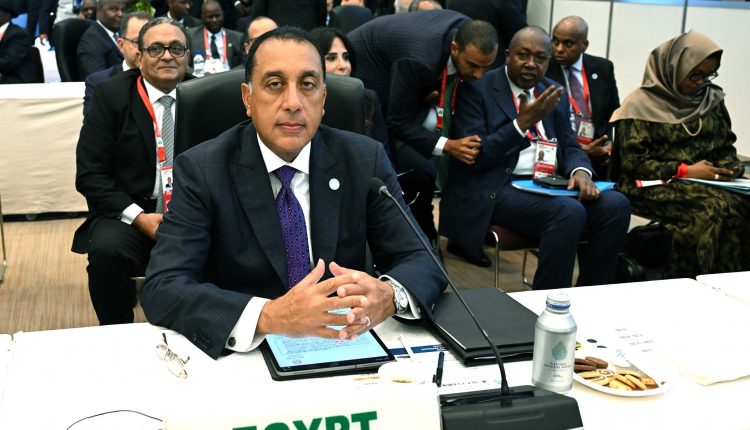 Egypt Palestine Africa TICAD 9