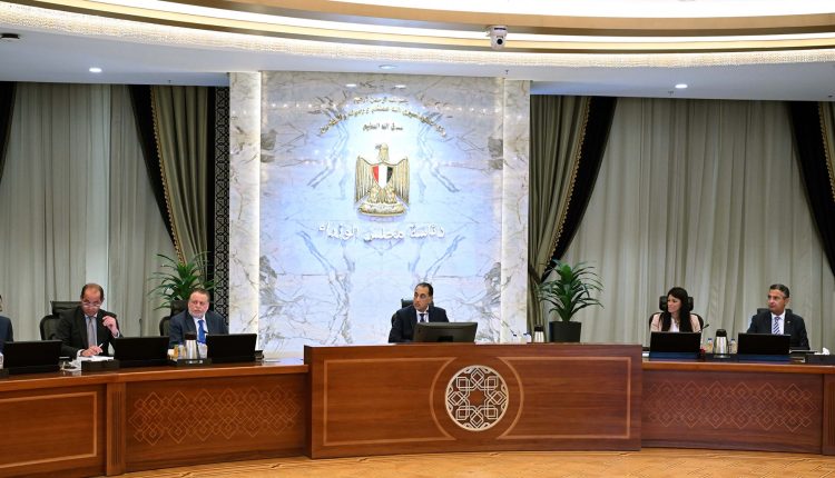 economic meeting Egypt