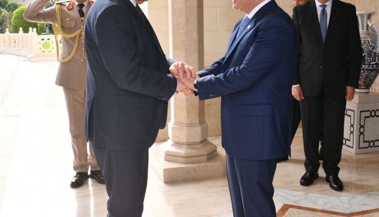 Egypt Germany Sisi and Steinmeier