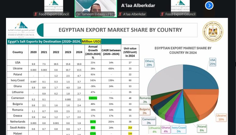 Egypt's salt exports