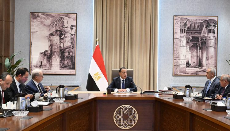 Egypt state-owned enterprises restructuring