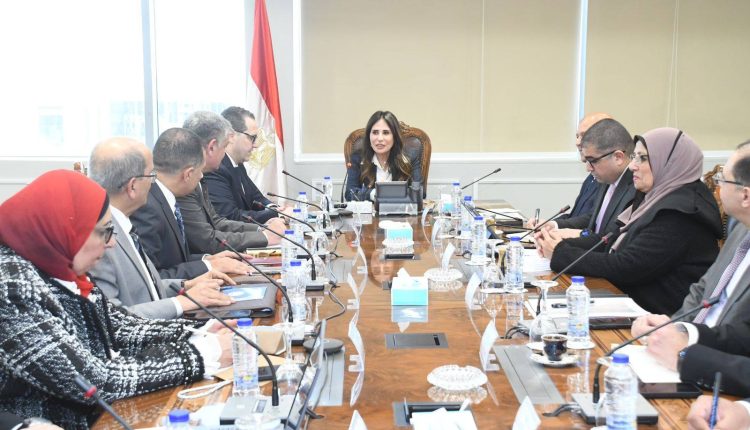 Egypt housing rural development Randa El-Menshawy