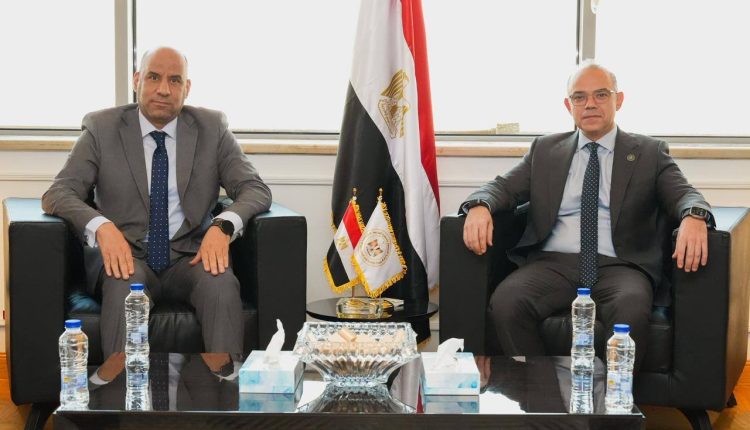 Egypt investment labour