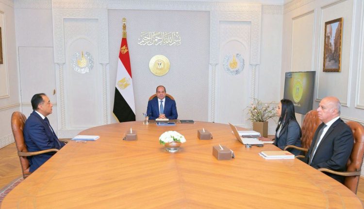 Egypt Sisi social protection