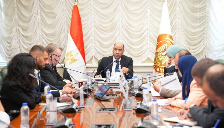 Egypt ILO Decent Work Programme