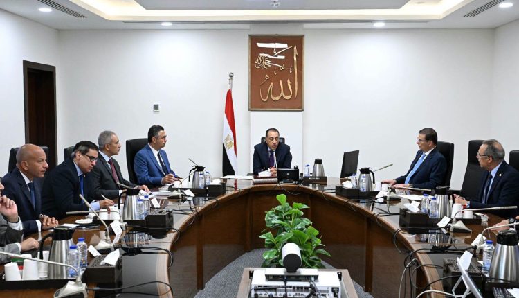 Egypt strategic food reserves